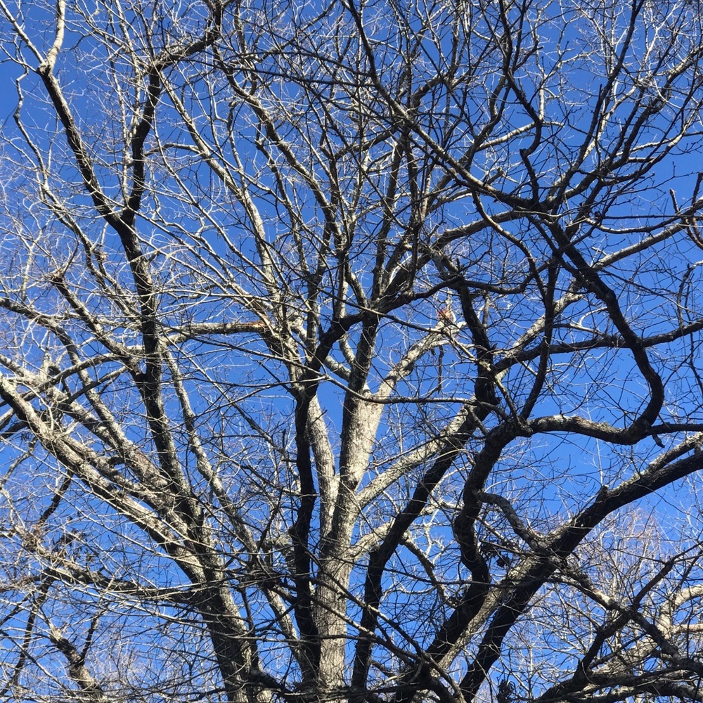 Meet your Posher, Sheila